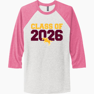 Next Level Unisex Tri-Blend 3/4-Sleeve Raglan T-Shirt