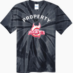 CENTRAL HIGH SCHOOL RED DEVILS <span class="pdp-name-mascot">CENTRAL RED DEVILS</span> Port & Company Men's Tie-Dye T-Shirt Front Thumbnail