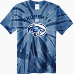 WESLEY CHAPEL HIGH SCHOOL WILDCATS <span class="pdp-name-mascot">WESLEY CHAPEL WILDCATS</span> Port & Company Men's Tie-Dye T-Shirt Front Thumbnail