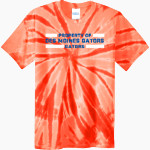Des Moines Gators Gators <span class="pdp-name-mascot">Des Moines Gators Gators</span> Port & Company Men's Tie-Dye T-Shirt Front Thumbnail