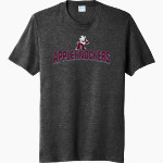 COBDEN HIGH SCHOOL APPLEKNOCKERS <span class="pdp-name-mascot">COBDEN APPLEKNOCKERS</span> Port & Company Men's Tri-Blend Short Sleeve T-Shirt Front Thumbnail