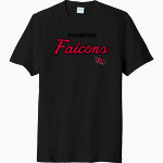 Dunedin Falcons Port & Company Men's Tri-Blend Short Sleeve T-Shirt Front Thumbnail