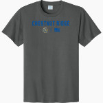 CHESTNUT RIDGE HIGH SCHOOL LIONS <span class="pdp-name-mascot">CHESTNUT RIDGE LIONS</span> Port & Company CVC Tee Front Thumbnail