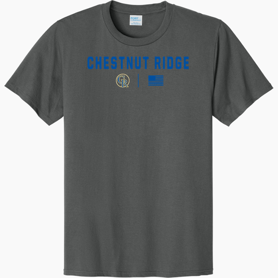 CHESTNUT RIDGE HIGH SCHOOL LIONS <span class="pdp-name-mascot">CHESTNUT RIDGE LIONS</span> Port & Company CVC Tee