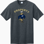 Clarion Golden Eagles <span class="pdp-name-mascot">Clarion - Penn West University Golden Eagles</span> Port & Company CVC Tee Front Thumbnail