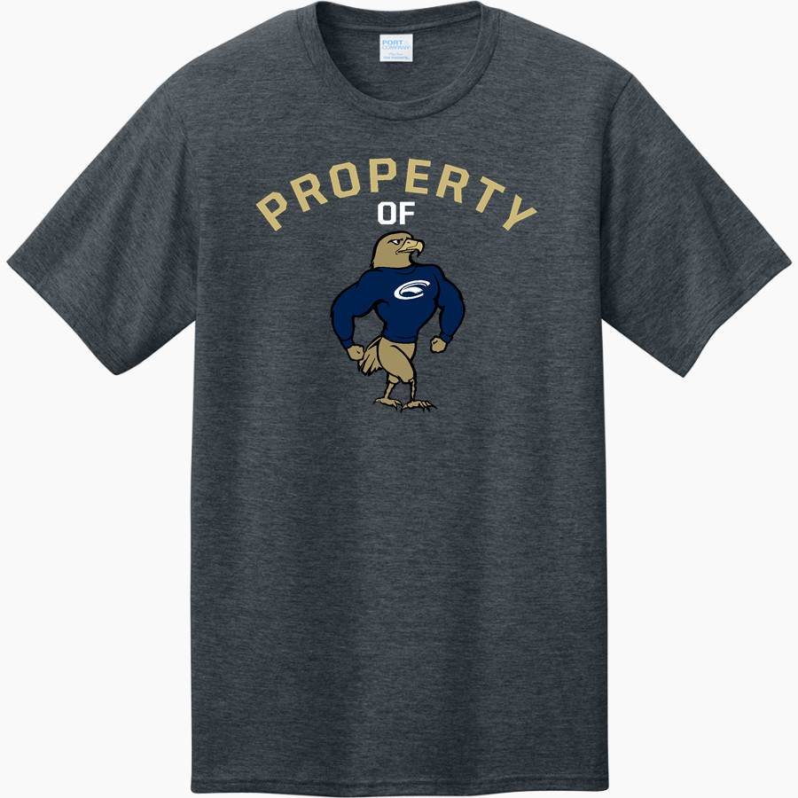 Clarion Golden Eagles <span class="pdp-name-mascot">Clarion - Penn West University Golden Eagles</span> Port & Company CVC Tee