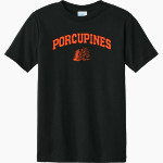 SPRINGTOWN HIGH SCHOOL PORCUPINES Port & Company Youth CVC Tee Front Thumbnail