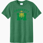 Milan C2 Wildcats <span class="pdp-name-mascot">Milan C2 Wildcats</span> Port & Company Youth CVC Tee Front Thumbnail