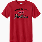 WILMOT UNION HIGH SCHOOL PANTHERS <span class="pdp-name-mascot">WILMOT PANTHERS</span> Port & Company Youth CVC Tee Front Thumbnail