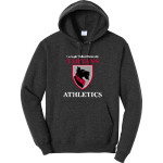 CARNEGIE MELLON UNIVERSITY TARTANS <span class="pdp-name-mascot">Carnegie Mellon Tartans</span> Port & Company Men's Core Fleece Pullover Hooded Sweatshirt Front Thumbnail