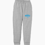 Birdville Blazers Blazers <span class="pdp-name-mascot">Birdville Blazers</span> Port & Company Youth Core Fleece Joggers Front Thumbnail