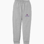 Alfred University Saxons <span class="pdp-name-mascot">Alfred University Saxons</span> Port & Company Youth Core Fleece Joggers Front Thumbnail