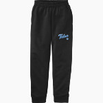 GIG HARBOR HIGH SCHOOL TIDES <span class="pdp-name-mascot">GIG HARBOR TIDES</span> Port & Company Youth Core Fleece Joggers Front Thumbnail