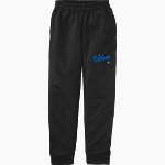 Timberlane Wolves <span class="pdp-name-mascot">Timberlane Wolves</span> Port & Company Youth Core Fleece Joggers Front Thumbnail