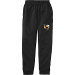 HINSDALE SOUTH HORNETS ONLINE STORE <span class="pdp-name-mascot">HINSDALE SOUTH HORNETS</span> Port & Company Youth Core Fleece Joggers Front Thumbnail