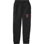 Lance O's Recruiting Network Lance O's Recruiting <span class="pdp-name-mascot">Lanceo's Recruiting Network</span> Port & Company Youth Core Fleece Joggers Front Thumbnail