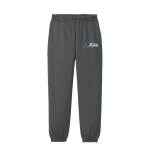 Northeast Raiders <span class="pdp-name-mascot">Reagan Raiders</span> Port & Company Youth Core Fleece Sweatpant Front Thumbnail