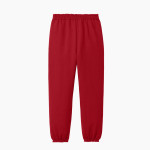 Detroit Mercy Titans Sideline Store <span class="pdp-name-mascot">UDM Titans</span> Port & Company Youth Core Fleece Sweatpant Back Thumbnail
