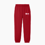 Detroit Mercy Titans Sideline Store <span class="pdp-name-mascot">UDM Titans</span> Port & Company Youth Core Fleece Sweatpant Front Thumbnail