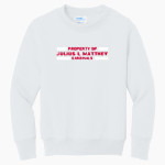 Julius L Matthey Cardinals <span class="pdp-name-mascot">Julius L Matthey Cardinals</span> Port & Company Youth Core Fleece Crewneck Sweatshirt Front Thumbnail