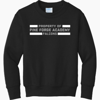 Port & Company Youth Core Fleece Crewneck Sweatshirt