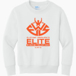 SHAYNE GRAHAM'S ELITE WINNING SOLUTIONS <span class="pdp-name-mascot">SHAYNE GRAHAM'S ELITE WINNING SOLUTIONS</span> Port & Company Youth Core Fleece Crewneck Sweatshirt Front Thumbnail