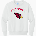 JOHANNESBURG-LEWISTON HIGH SCH CARDINALS <span class="pdp-name-mascot">JOHANNESBURG - LEWISTON CARDINALS</span> Port & Company Youth Core Fleece Crewneck Sweatshirt Front Thumbnail