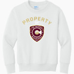 BC DENVER BC DENVER Port & Company Youth Core Fleece Crewneck Sweatshirt Front Thumbnail