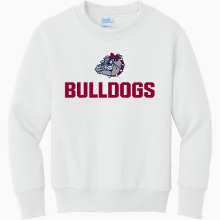 Port & Company Youth Core Fleece Crewneck Sweatshirt