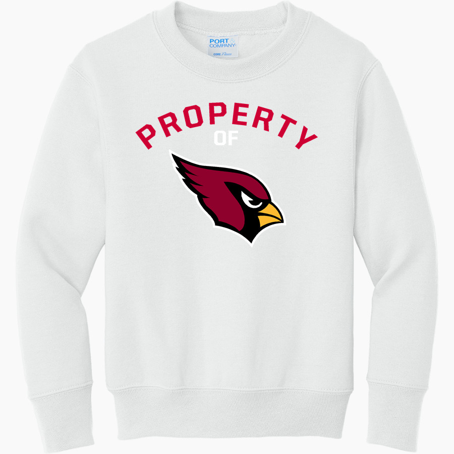 JOHANNESBURG-LEWISTON HIGH SCH CARDINALS <span class="pdp-name-mascot">JOHANNESBURG - LEWISTON CARDINALS</span> Port & Company Youth Core Fleece Crewneck Sweatshirt