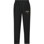 GATESVILLE ISD Sideline Store <span class="pdp-name-mascot">GATESVILLE FIGHTIN' HORNETS</span> Sport-Tek Men's Repeat Pant Front Thumbnail