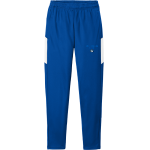 Ojibwa Indian Eagles <span class="pdp-name-mascot">Ojibwa Indian Eagles</span> Sport-Tek Men's Travel Pant Front Thumbnail