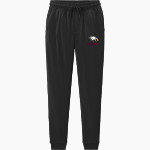 ROOSEVELT HIGH SCHOOL EAGLES <span class="pdp-name-mascot">ROOSEVELT EAGLES</span> Sport-Tek Sport-Wick Stretch Unisex Jogger Front Thumbnail