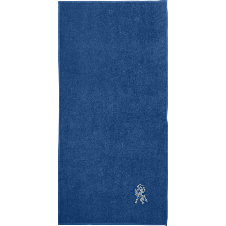 DOBSON HIGH SCHOOL MUSTANGS <span class="pdp-name-mascot">DOBSON MUSTANGS</span> Port Authority Value Beach Towel