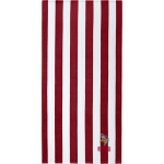 Mascenic Regional Vikings <span class="pdp-name-mascot">Mascenic Regional Vikings</span> Port Authority Value Cabana Stripe Beach Towel Front Thumbnail
