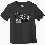 Mount Alvernia Academy Hawks Rabbit Skins Toddler Fine Jersey T-Shirt Front Thumbnail