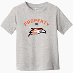 Southeast Falcons <span class="pdp-name-mascot">Southeast Falcons</span> Rabbit Skins Toddler Fine Jersey T-Shirt Front Thumbnail
