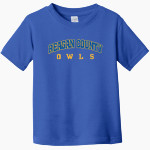 REAGAN COUNTY HIGH SCHOOL OWLS Rabbit Skins Toddler Fine Jersey T-Shirt Front Thumbnail