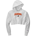DALLAS HIGH SCHOOL DRAGONS <span class="pdp-name-mascot">DALLAS DRAGONS</span> Champion Women's Reverse Weave Cropped Cut-Off Hooded Sweatshirt Front Thumbnail