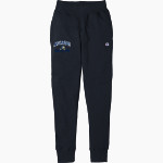 ARLINGTON HIGH SCHOOL TIGERS <span class="pdp-name-mascot">ARLINGTON TIGERS</span> Champion Men's Reverse Weave Jogger Front Thumbnail