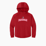 PENDER HIGH SCHOOL PENDRAGONS <span class="pdp-name-mascot">PENDER PENDRAGONS</span> Richardson Youth Charge Performance Fleece Long Sleeve Hoodie Front Thumbnail