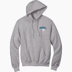New York State Athletic Trainers' Association Champion Men's Powerblend Pullover Hoodie Front Thumbnail