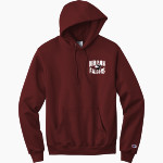 Deer Park Falcons <span class="pdp-name-mascot">Deer Park Falcons</span> Champion Men's Powerblend Pullover Hoodie Front Thumbnail