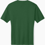 AZ Compass DRAGONS Sport-Tek Men's Competitor United Short-Sleeve V-Neck Back Thumbnail
