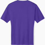 OZARK HIGH SCHOOL HILLBILLIES Sport-Tek Men's Competitor United Short-Sleeve V-Neck Back Thumbnail