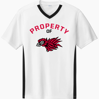 Sport-Tek Men's Competitor United Short-Sleeve V-Neck