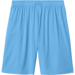 AYNOR HIGH SCHOOL BLUE JACKETS <span class="pdp-name-mascot">AYNOR BLUE JACKETS</span> Sport-Tek Men's Competitor United 7" Short Back Thumbnail