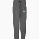 Discovery Dolphins <span class="pdp-name-mascot">Discovery School Dolphins</span> Sport-Tek Sport-Wick Fleece Jogger Front Thumbnail