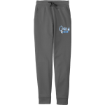 Garrett College Lakers <span class="pdp-name-mascot">Garrett College Lakers</span> Sport-Tek Sport-Wick Fleece Jogger Front Thumbnail