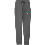 The GreenMount School Wise Owls <span class="pdp-name-mascot">GreenMount School Owls</span> Sport-Tek Sport-Wick Fleece Jogger Front Thumbnail
